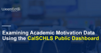 Examining Academic Motivation Data